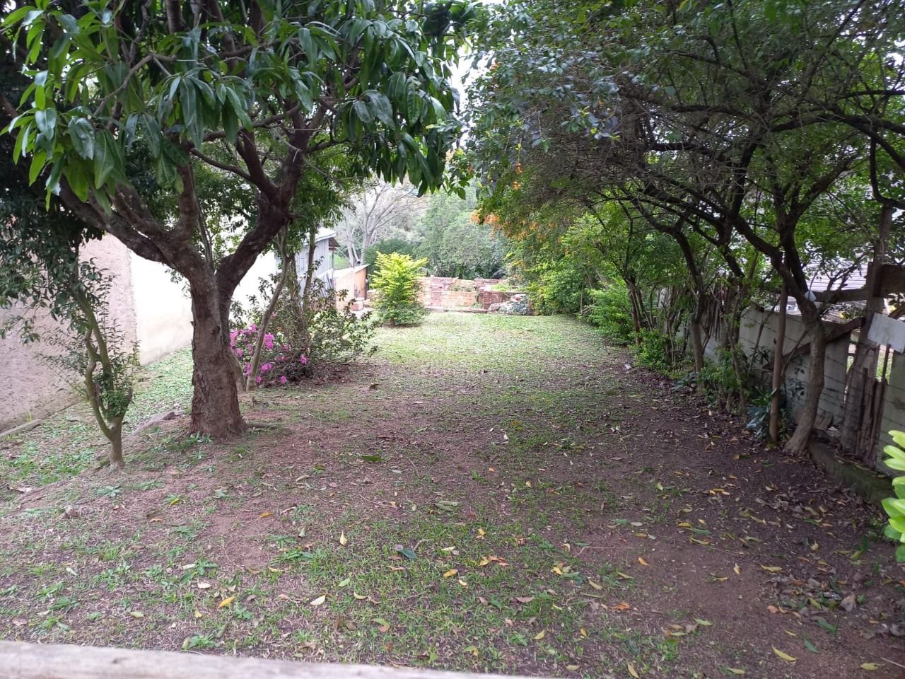 Terreno  9 x 38 todo murado !