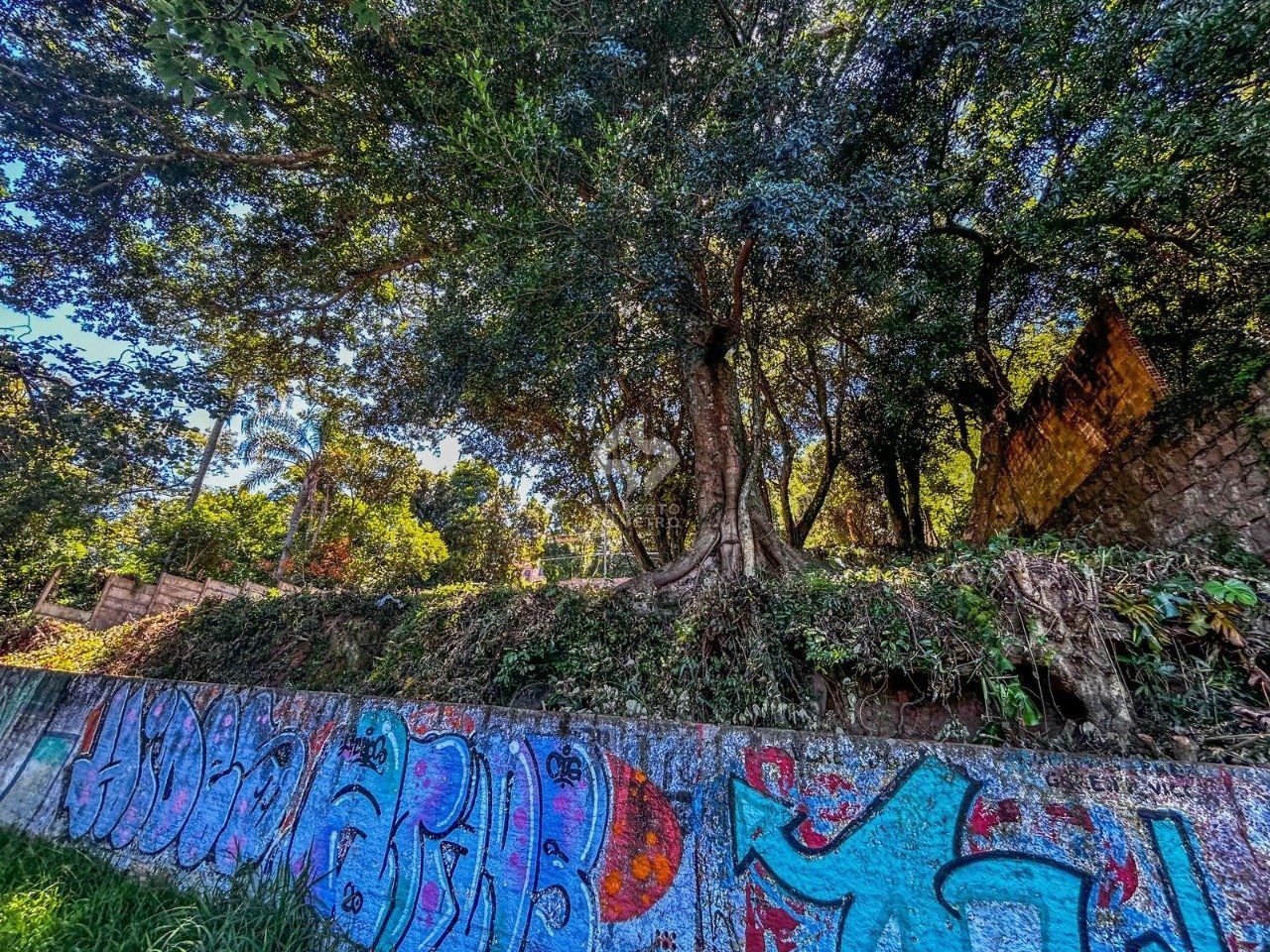 Terreno, à venda, Ipanema - Porto Alegre — foto 5
