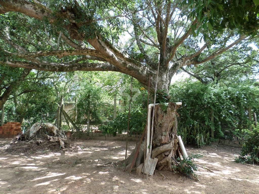 Terreno, à venda, Extrema - Porto Alegre — foto 4