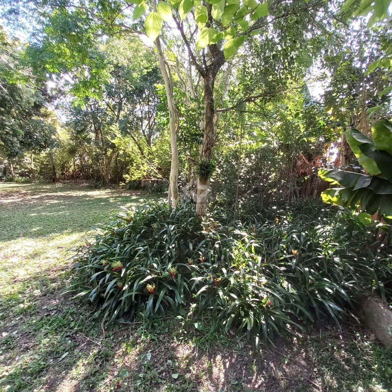 Terreno, à venda, Belém Novo - Porto Alegre — foto 4