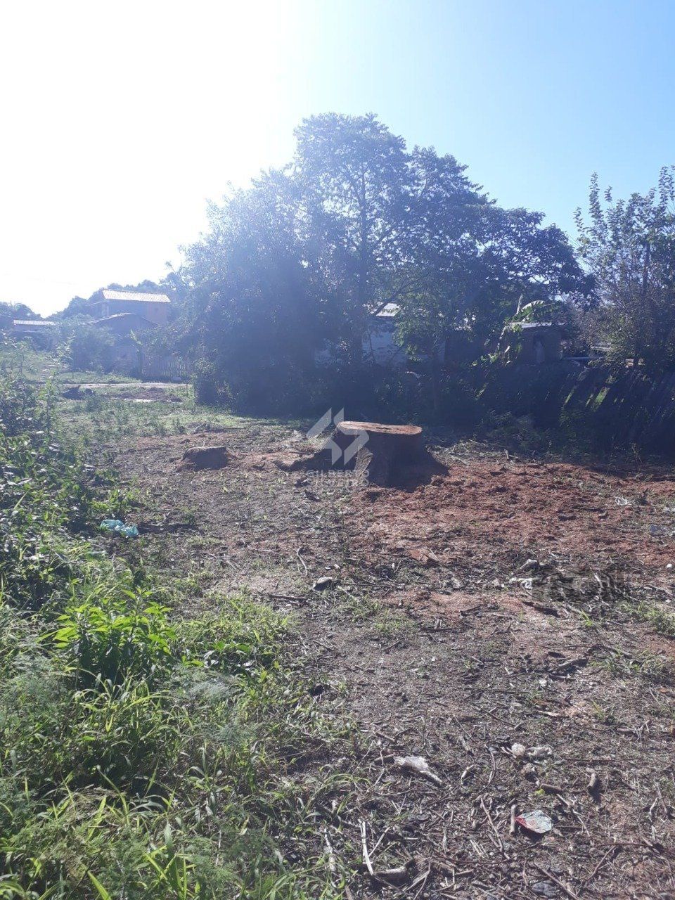 Terreno, à venda, Lageado - Porto Alegre — foto 2