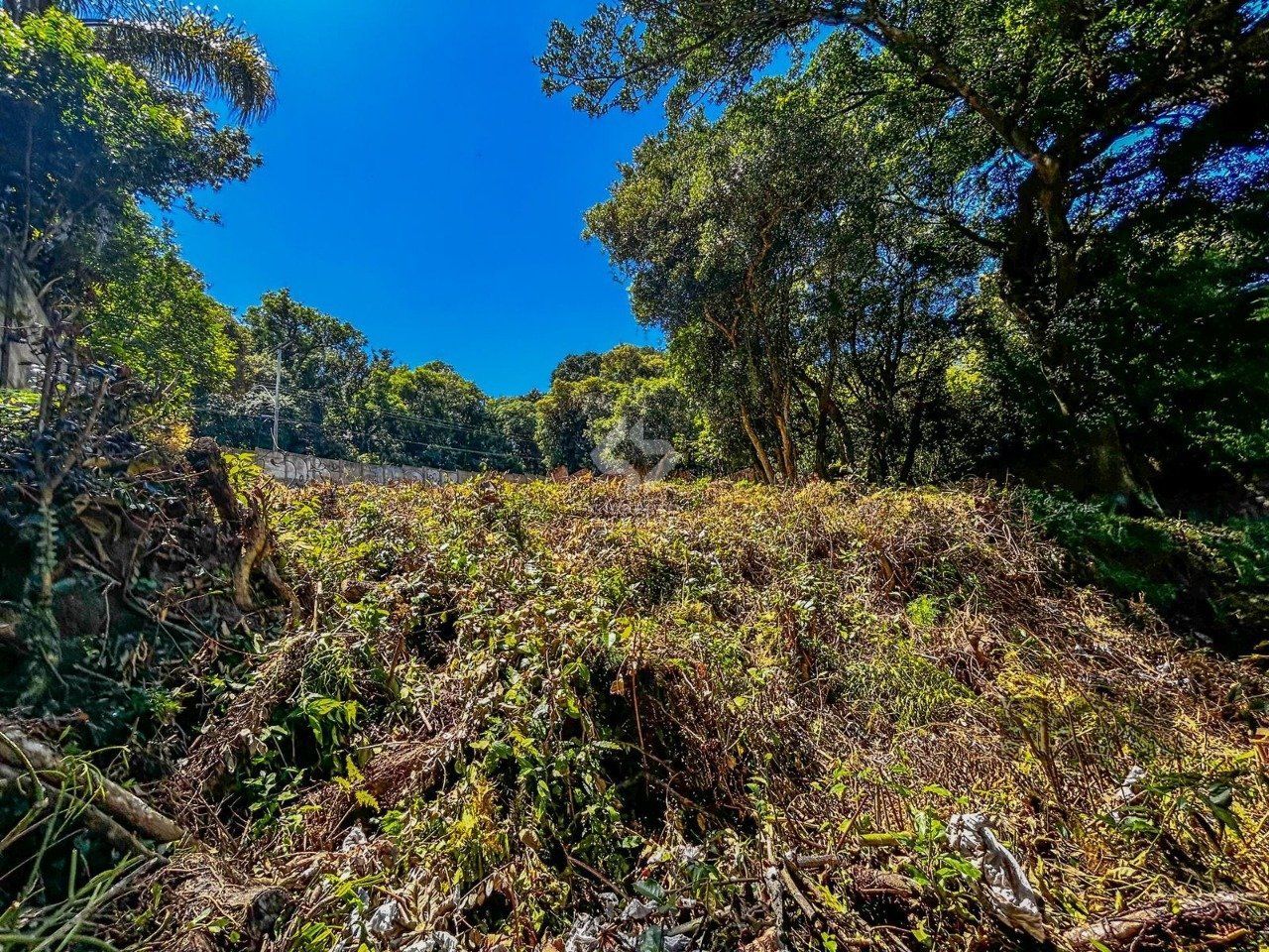 Terreno, à venda, Ipanema - Porto Alegre — foto 4