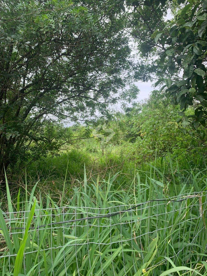 Terreno, à venda, Belém Novo - Porto Alegre — foto 4