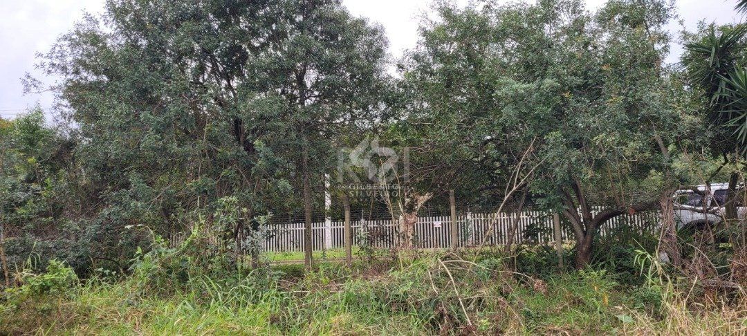 Terreno, à venda, Campo Novo - Porto Alegre — foto 2