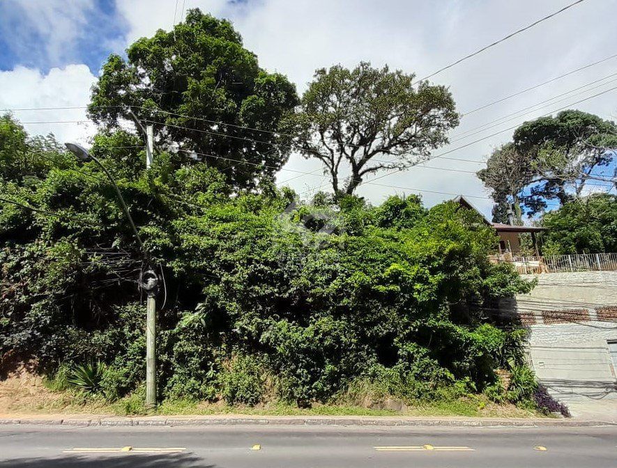 Terreno, à venda, Tristeza - Porto Alegre — foto 2