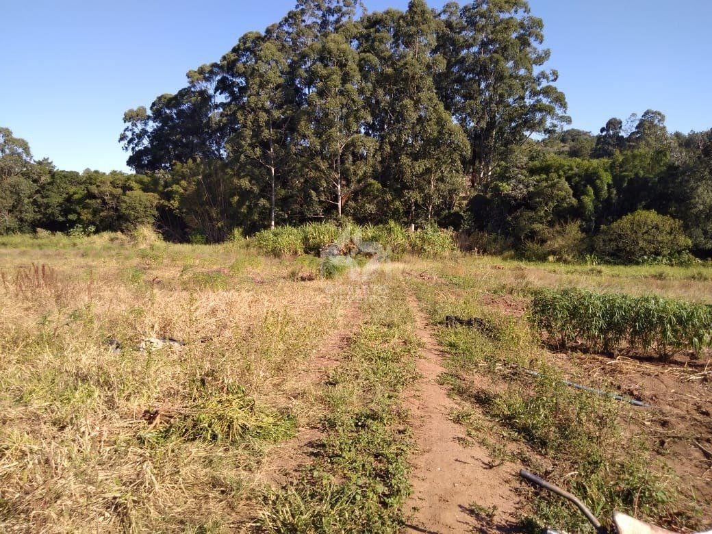 Terreno, à venda, Campo Novo - Porto Alegre — foto 4