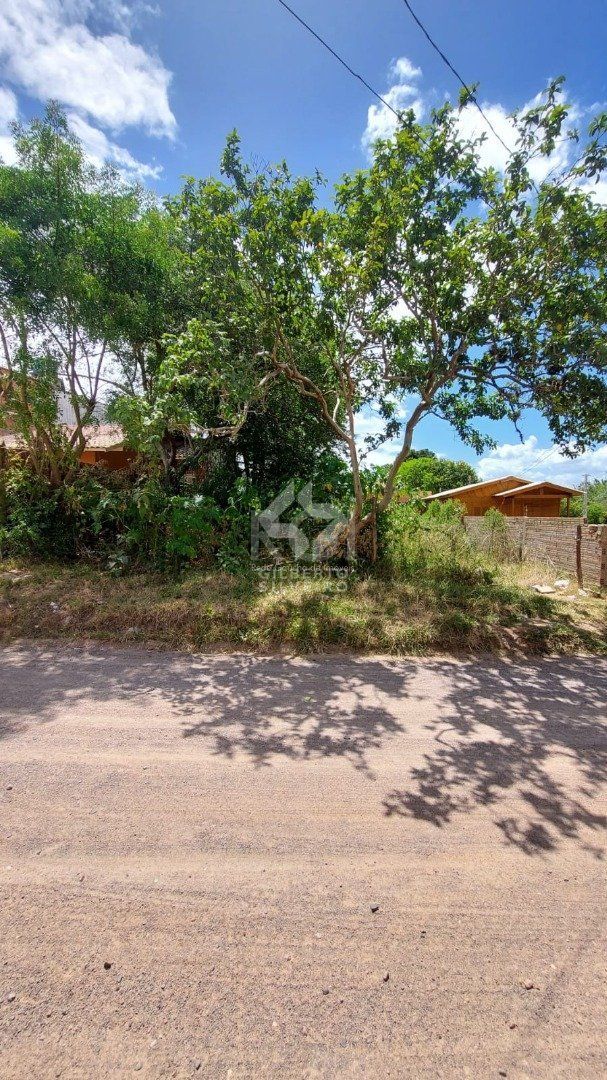 Terreno, à venda, Vila Nova - Porto Alegre — foto 2