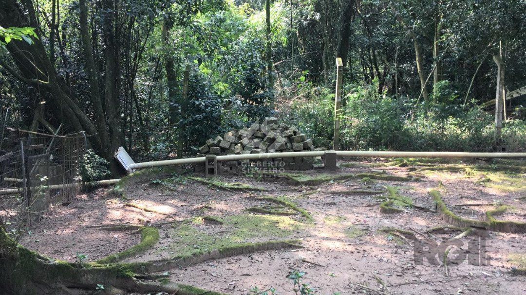 Terreno, à venda, Vila Nova - Porto Alegre — foto 4