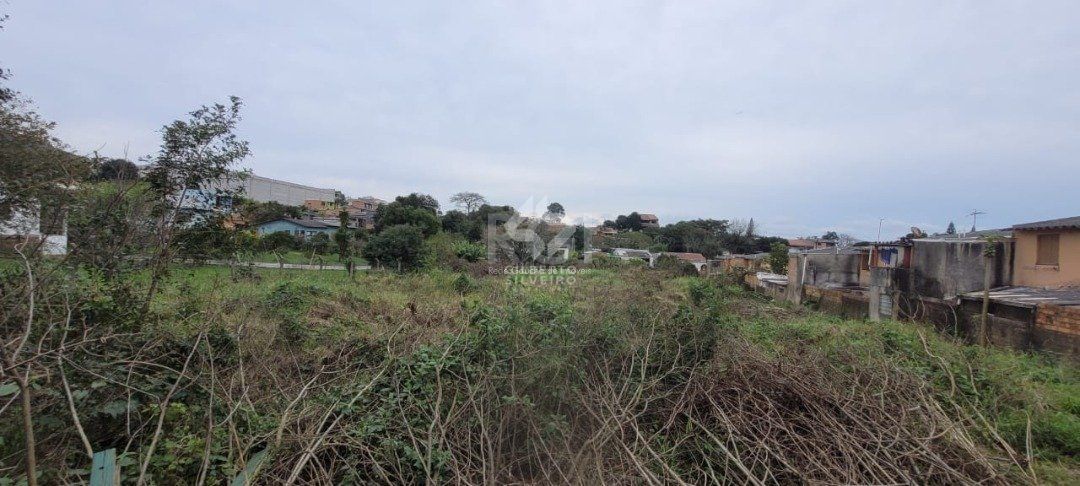 Terreno, à venda, Campo Novo - Porto Alegre — foto 3