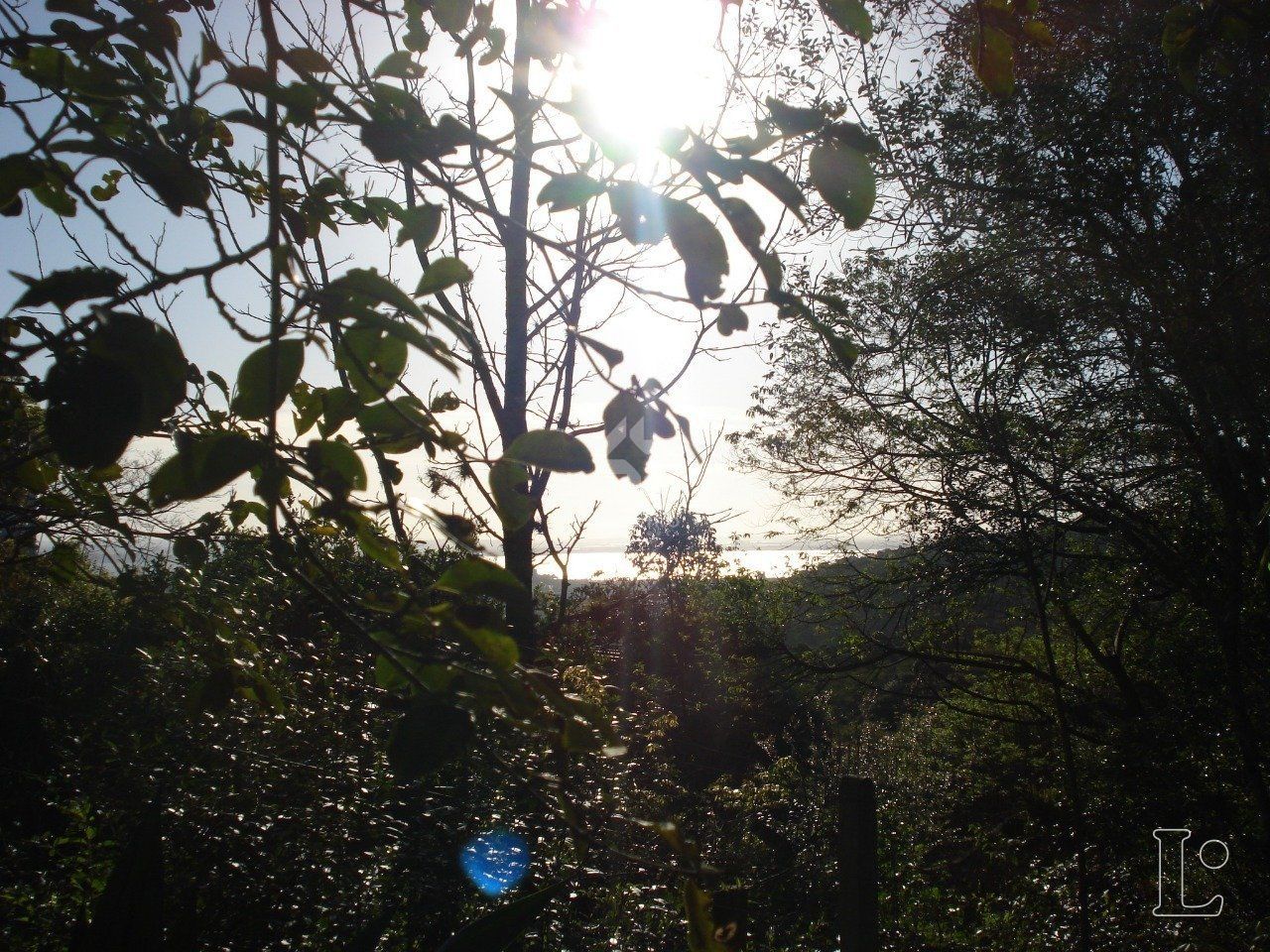 Terreno, à venda, Vila Nova - Porto Alegre — foto 5