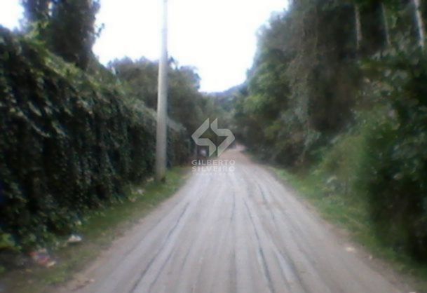 Terreno, à venda, Ponta Grossa - Porto Alegre — foto 4