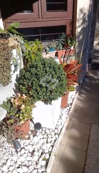 Casa de Condomínio, 3 quartos, à venda, 139 m², Cavalhada - Porto Alegre — foto 3