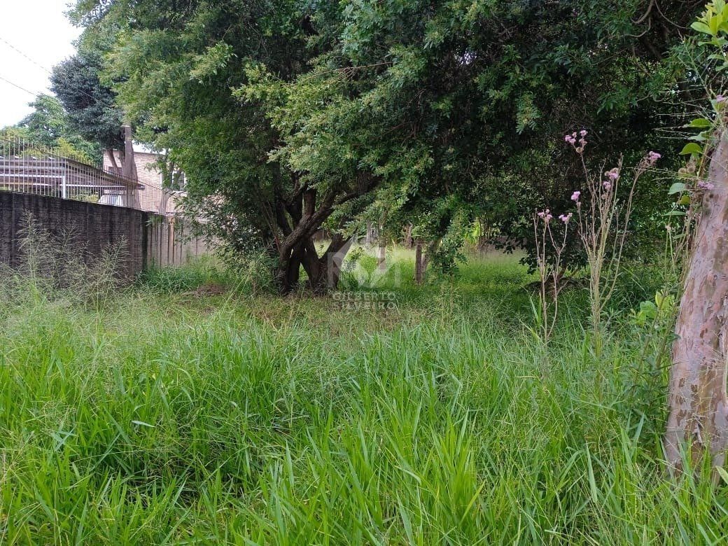 Terreno, à venda, Tristeza - Porto Alegre — foto 3