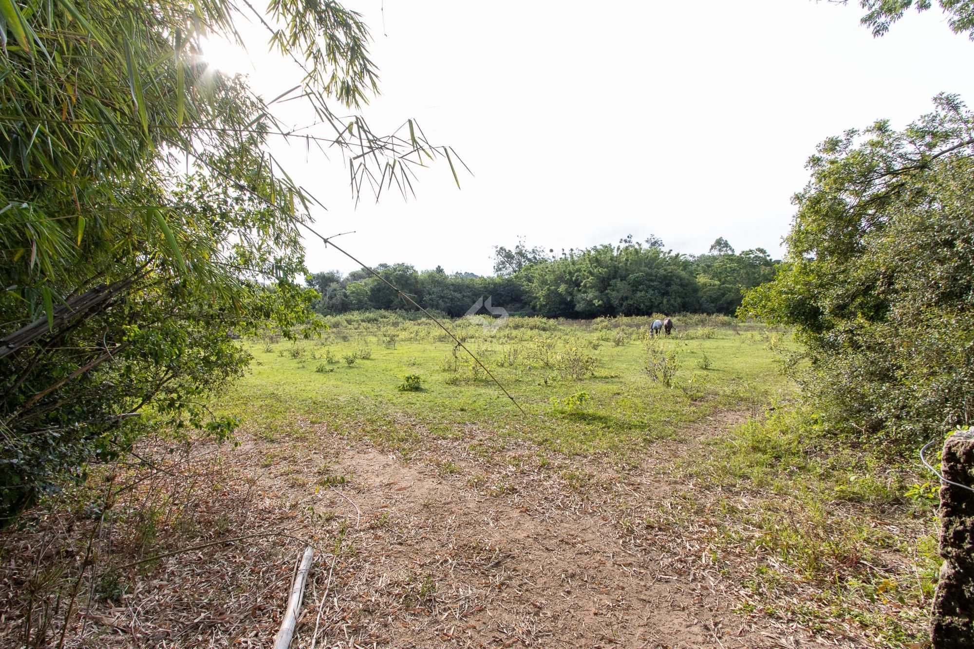 Casa, 2 quartos, à venda, 200 m², Campo Novo - Porto Alegre — foto 5
