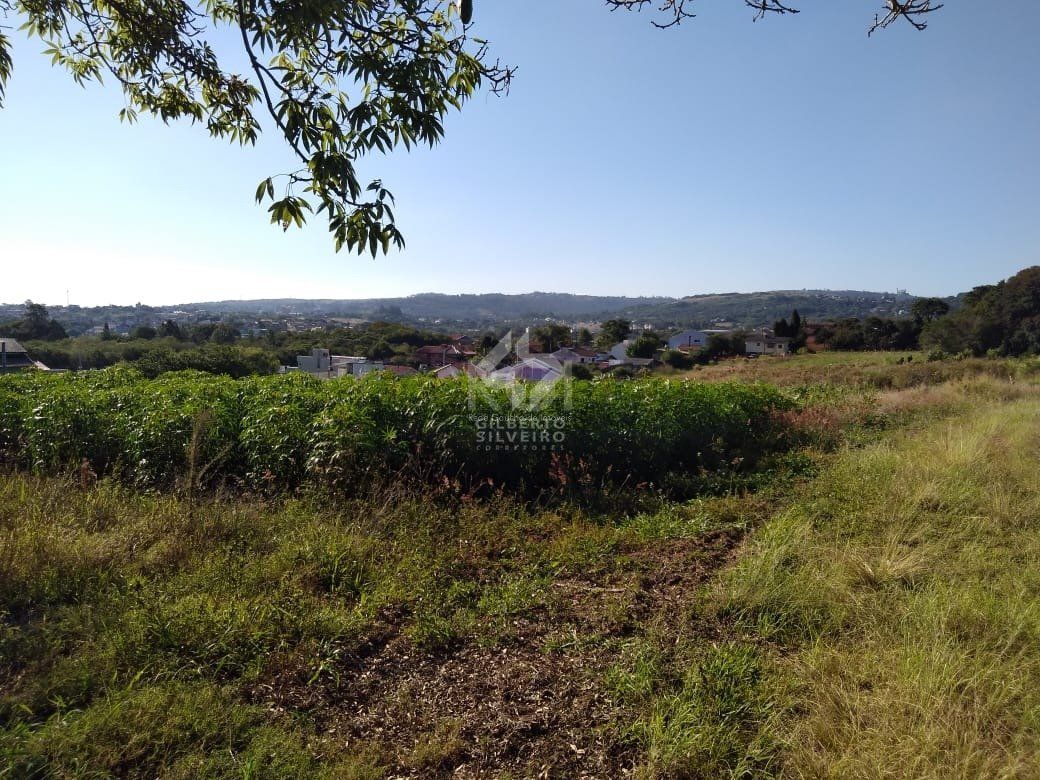 Area para Venda - 36.900m² - Campo Novo