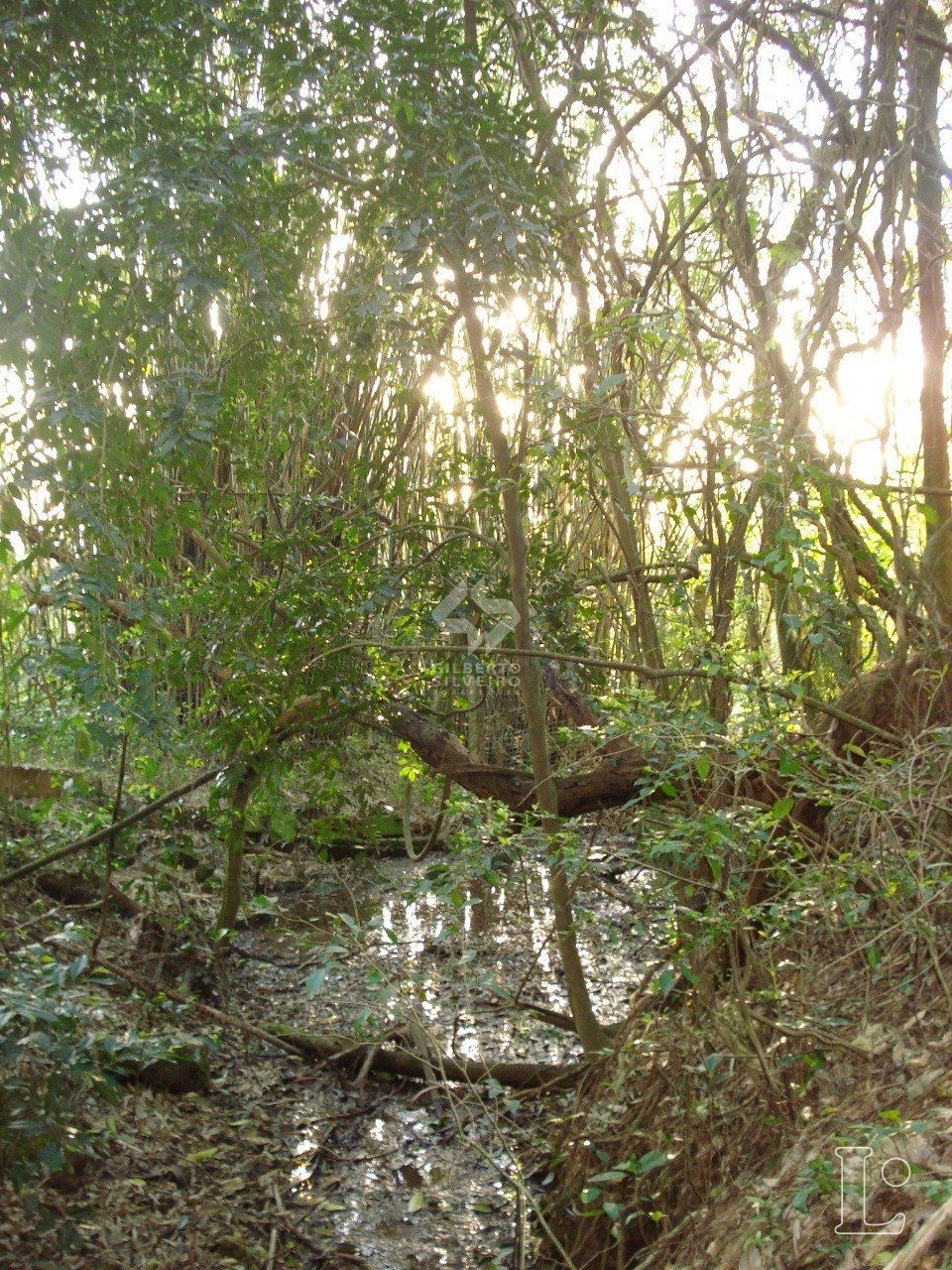 Terreno, à venda, Vila Nova - Porto Alegre — foto 4