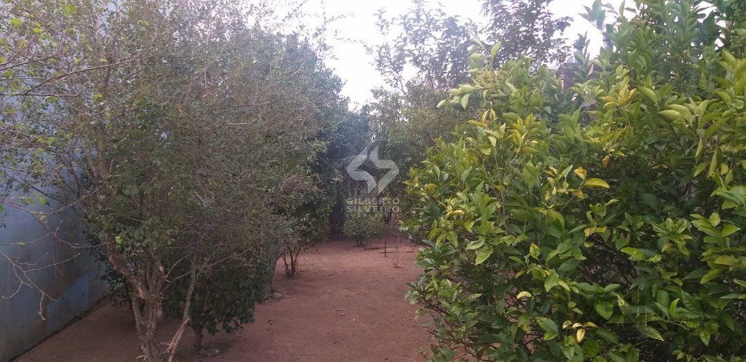 Terreno, à venda, Lomba do Pinheiro - Porto Alegre — foto 4