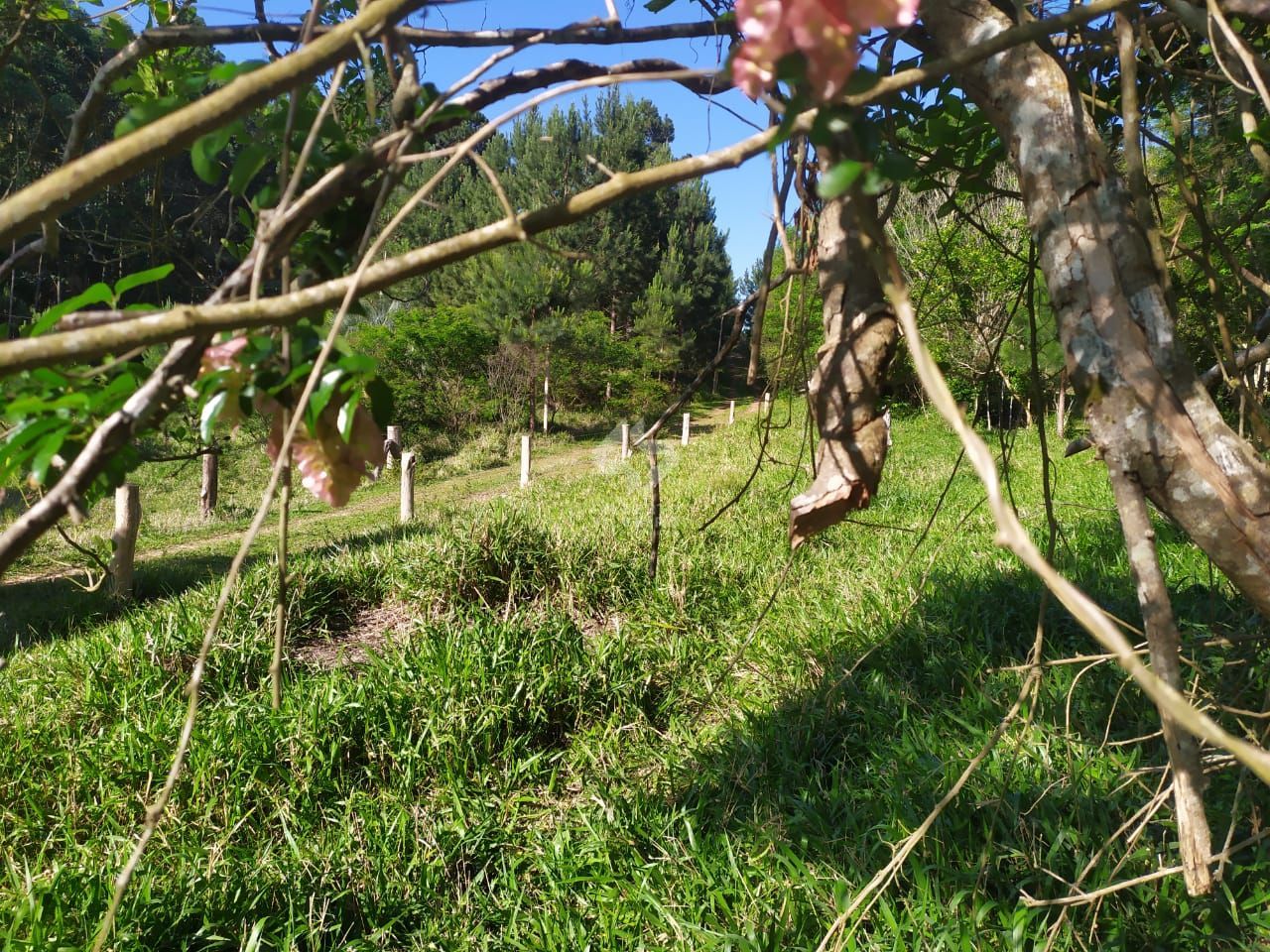 Terreno, à venda, Extrema - Porto Alegre — foto 4