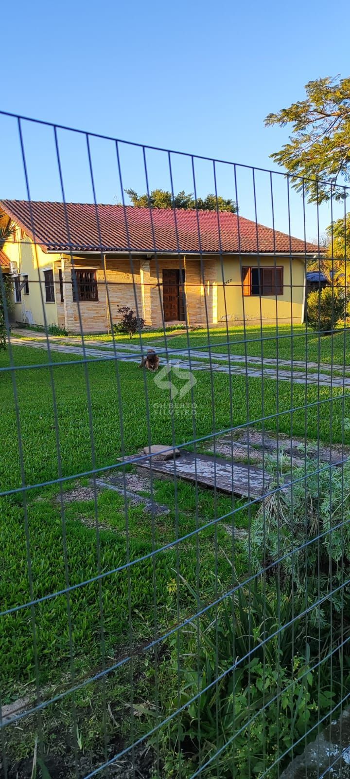 Sítio, à venda, 680 m², Lami - Porto Alegre — foto 3