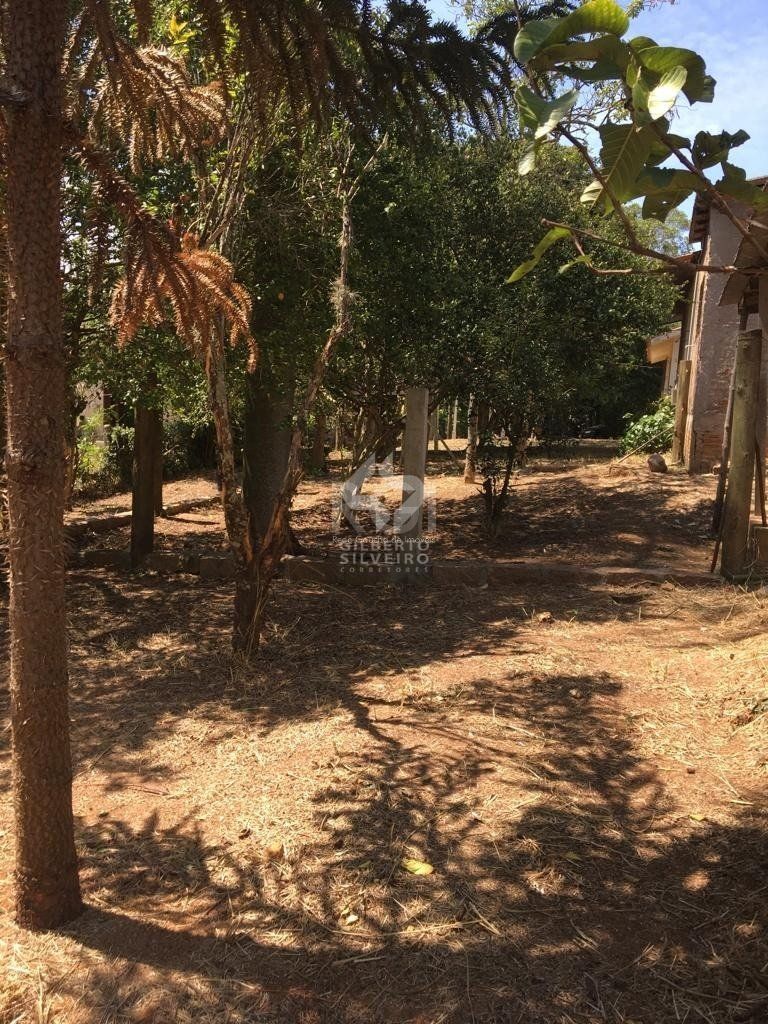Terreno, à venda, Vila Nova - Porto Alegre — foto 5