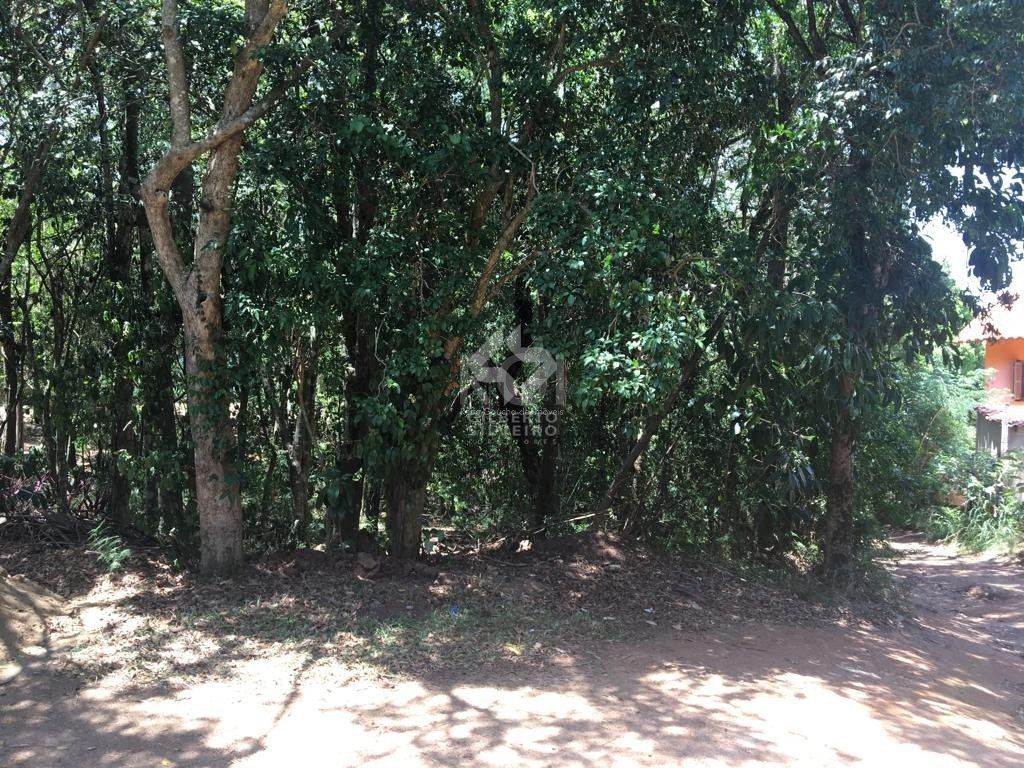 Terreno, à venda, Vila Nova - Porto Alegre — foto 4