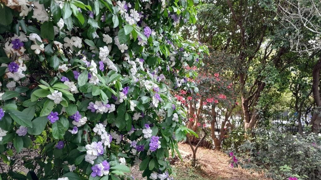 Casa, 6 quartos, à venda, 570 m², Santa Cecília - Porto Alegre — foto 2