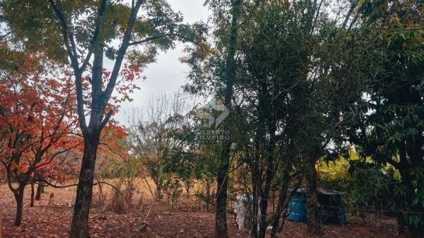 Terreno, à venda, Restinga - Porto Alegre — foto 5