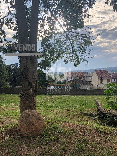 Terreno, à venda, Campo Novo - Porto Alegre — foto 4