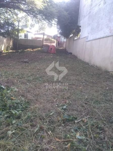 Terreno, à venda, Espírito Santo - Porto Alegre — foto 3