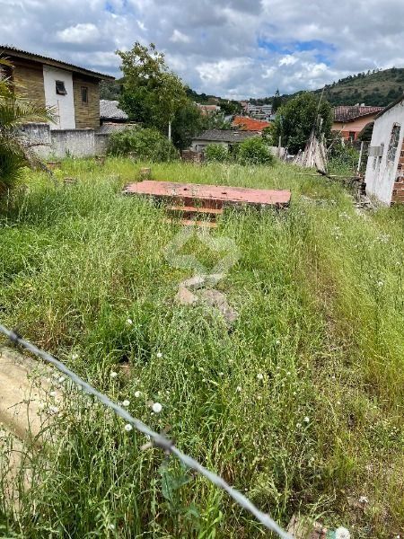 Terreno, à venda, Espírito Santo - Porto Alegre — foto 4