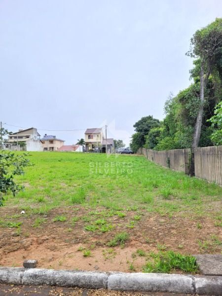 Terreno, à venda, Campo Novo - Porto Alegre — foto 5