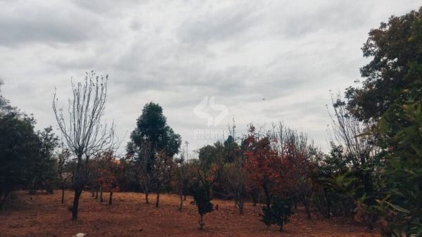 Terreno, à venda, Restinga - Porto Alegre — foto 4