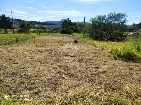Terreno, à venda, Espírito Santo - Porto Alegre — foto 2