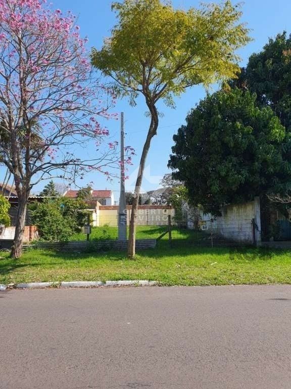 Terreno, à venda, Harmonia - Canoas — foto 5