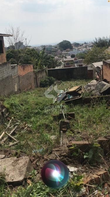 Terreno, à venda, Vila Jardim - Porto Alegre — foto 4