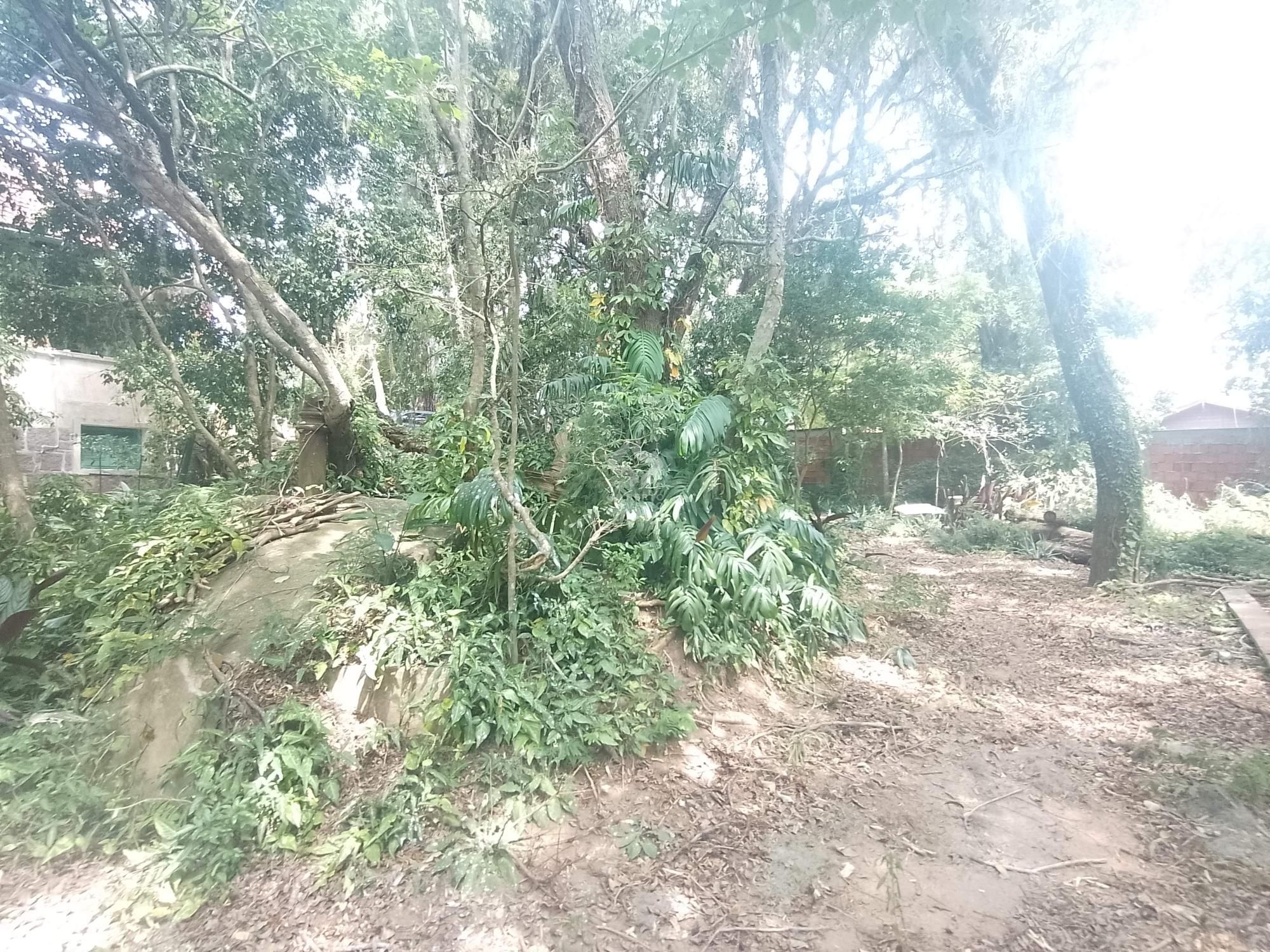 Terreno, à venda, Tristeza - Porto Alegre — foto 4