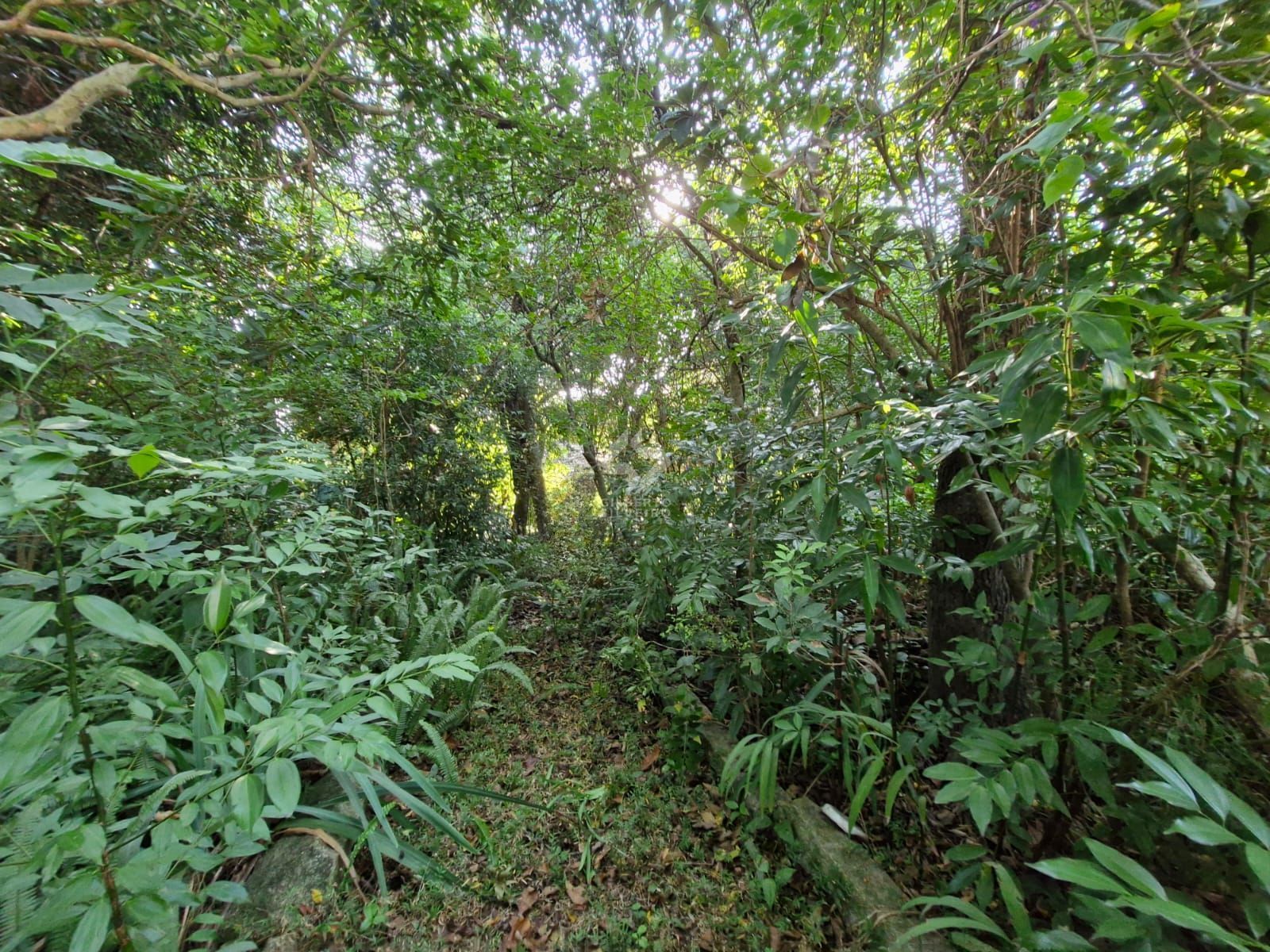 Terreno, à venda, Teresópolis - Porto Alegre — foto 4