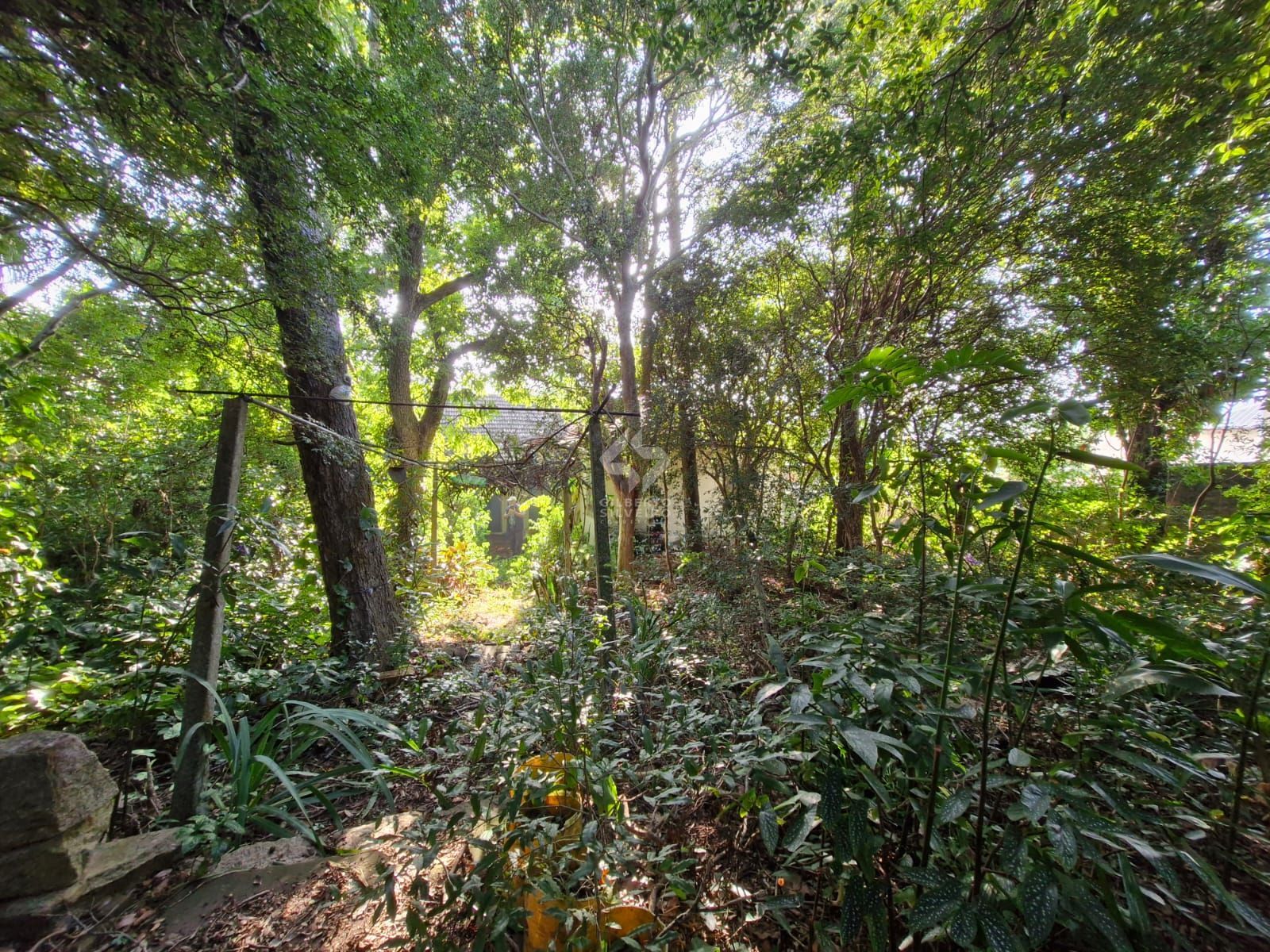 Terreno, à venda, Teresópolis - Porto Alegre — foto 5