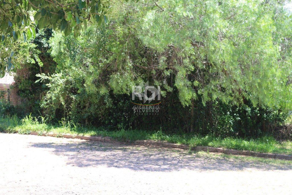 Terreno, à venda, Teresópolis - Porto Alegre — foto 5