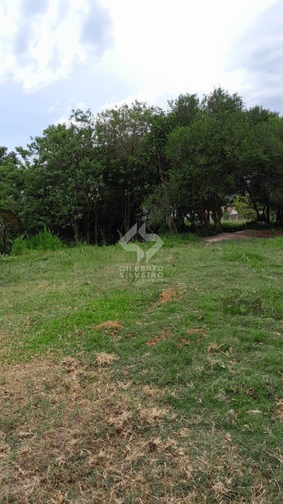 Terreno 1.000m² no bairro Lageado em Porto Alegre