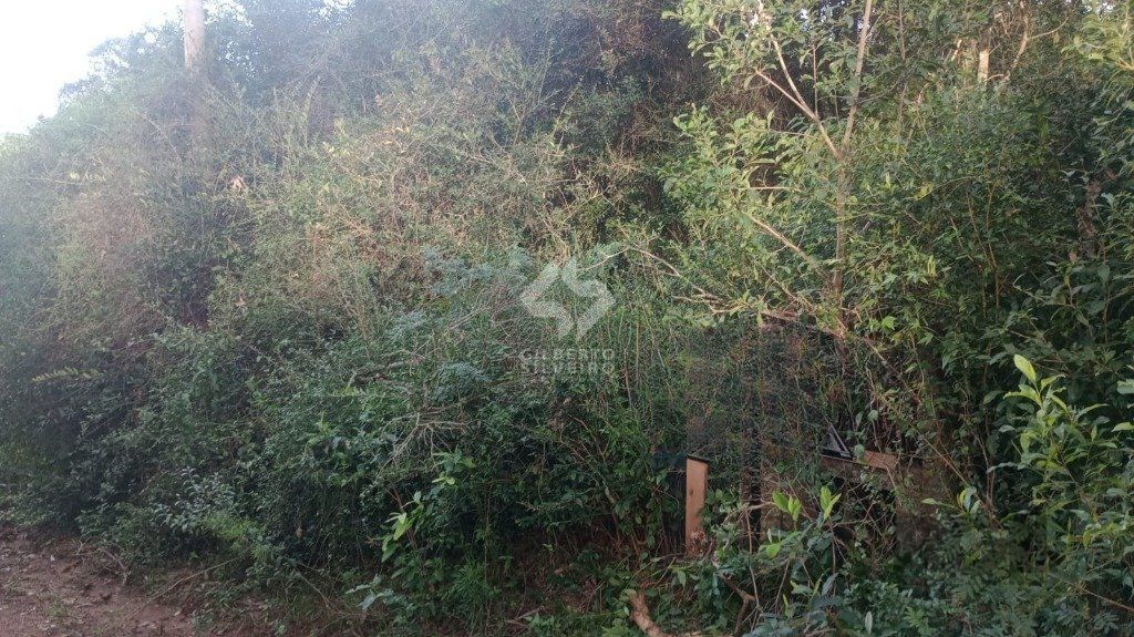 Terreno no bairro Aberta dos Morros em Porto Alegre