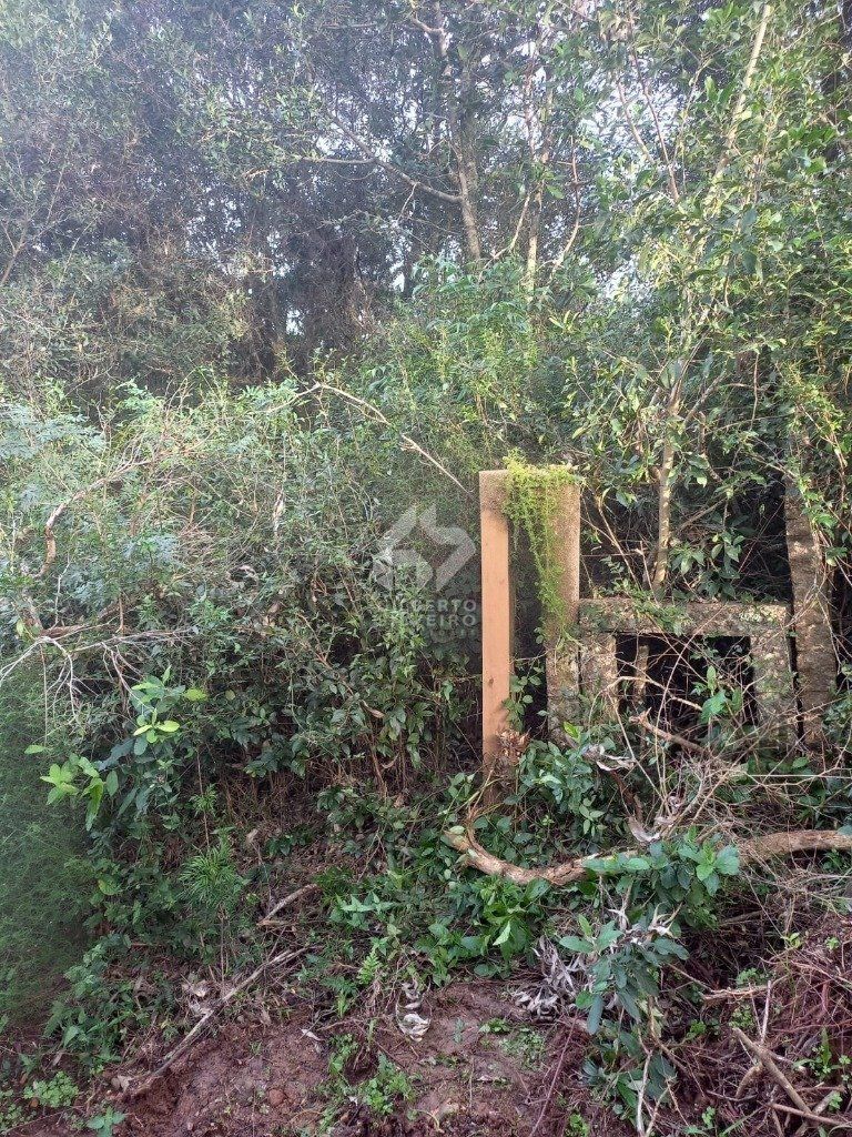 Terreno, à venda, Aberta dos Morros - Porto Alegre — foto 4