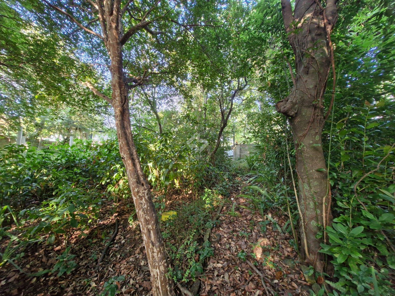 Terreno, à venda, Teresópolis - Porto Alegre — foto 3