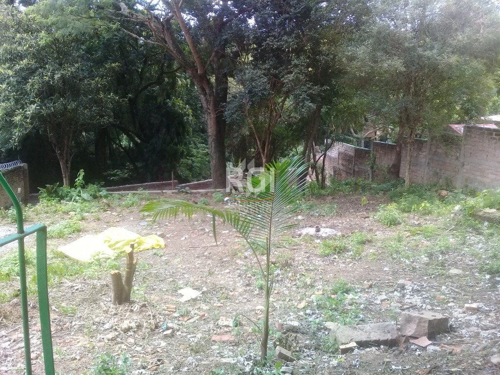 Terreno, à venda, Teresópolis - Porto Alegre — foto 4