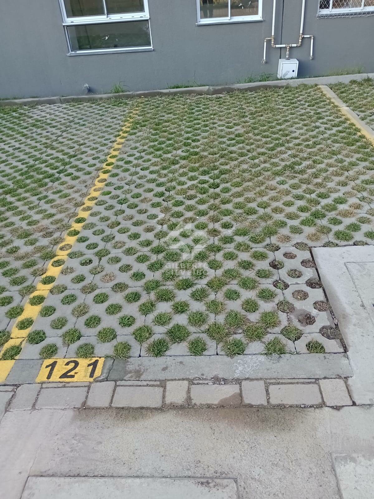 2562689.jpeg