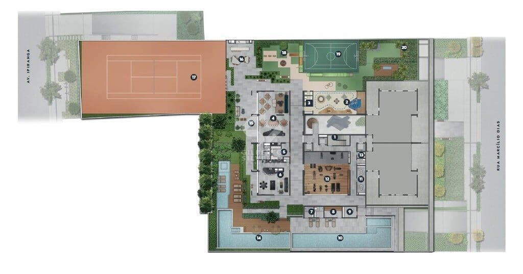 Plantas