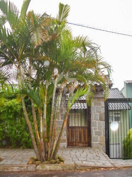 Casa, 5 quartos, à venda, 560 m², Vila Jardim - Porto Alegre — foto 5