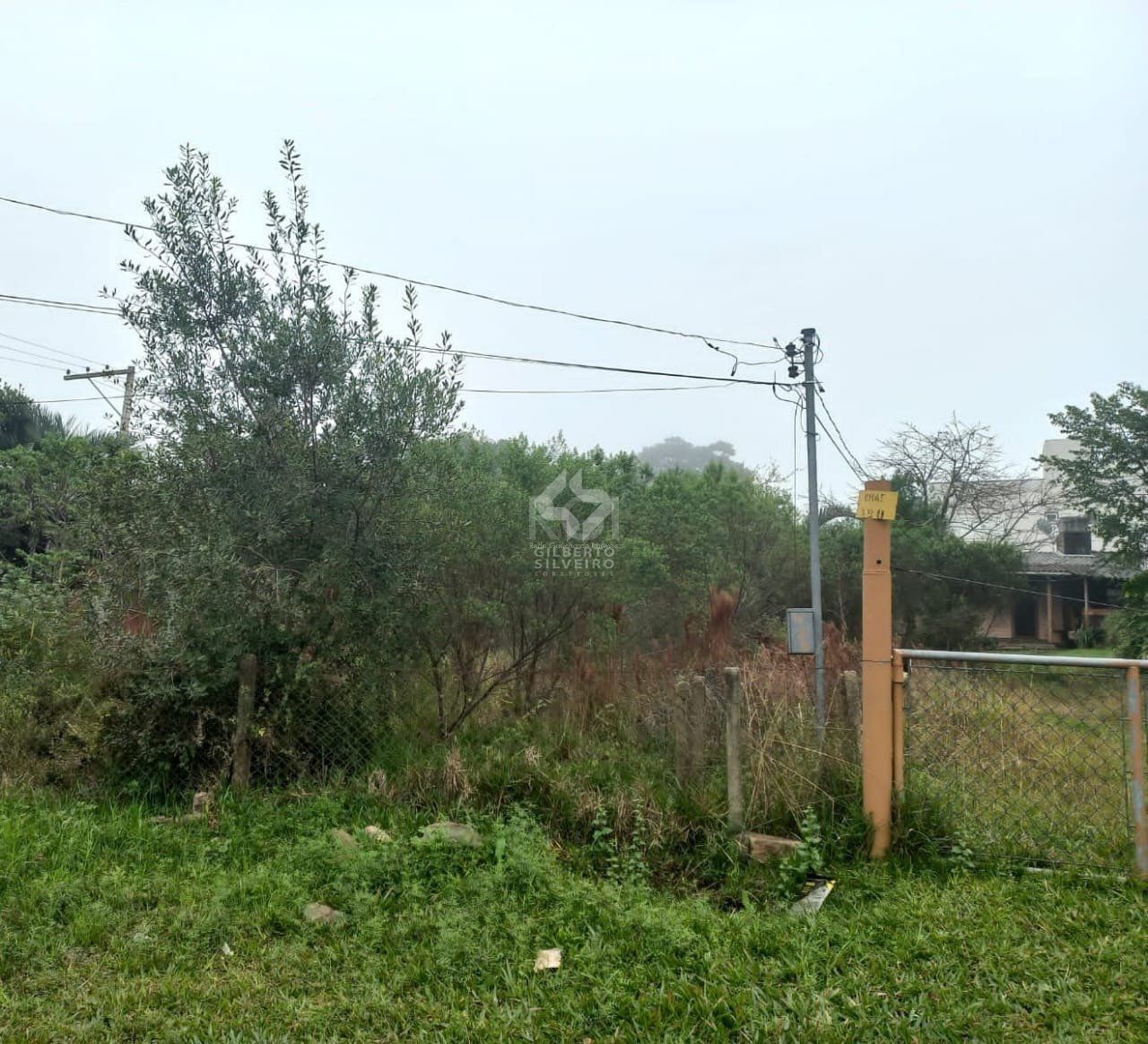 Terreno na Av. Edgar Pires de Castro - Bairro Hípica
