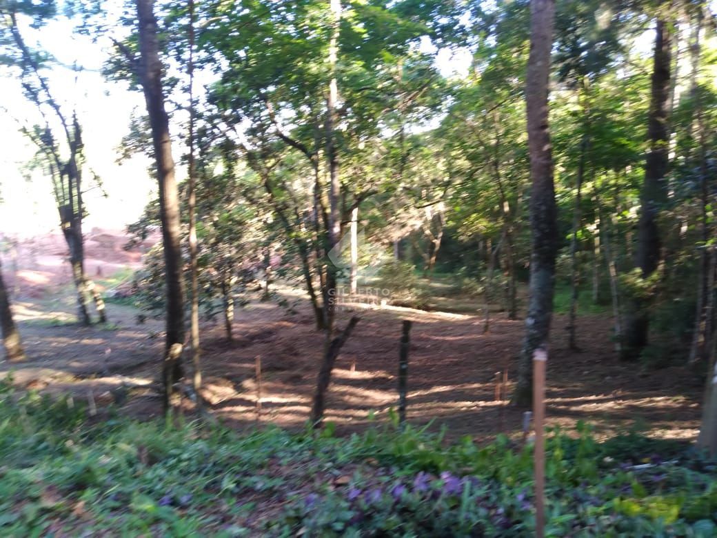 Terreno no Bairro Hípica