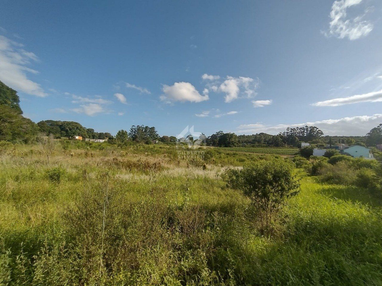 Chácara, à venda, 80 m², Campo Novo - Porto Alegre — foto 3